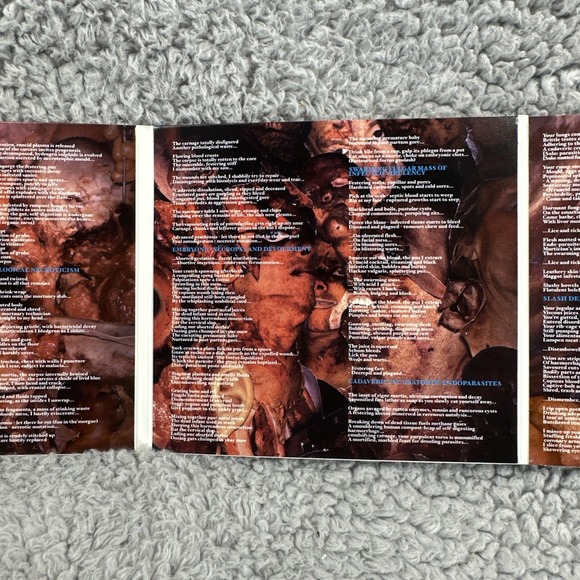 CARCASS - Symphonies Of Sickness - 2 CD - Extra Tracks Original‎ Recording - Picture 13 of 16